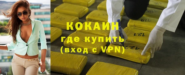 стаф Ладушкин