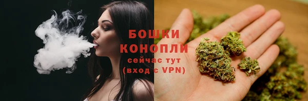 стаф Ладушкин