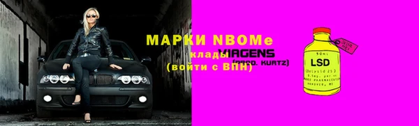 стаф Ладушкин