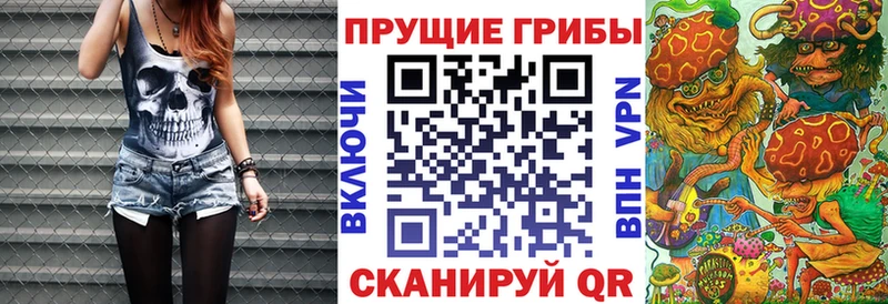 Псилоцибиновые грибы Cubensis  Купить где  Мезень 